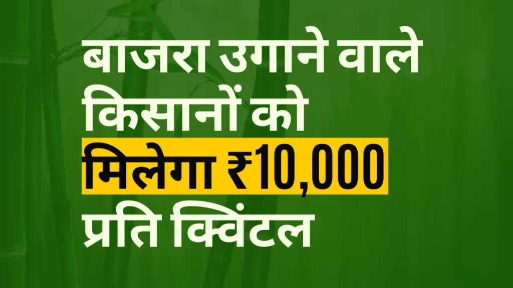 बाजरा उगाने वाले किसानों को मिलेगा ₹10,000 प्रति क्विंटल