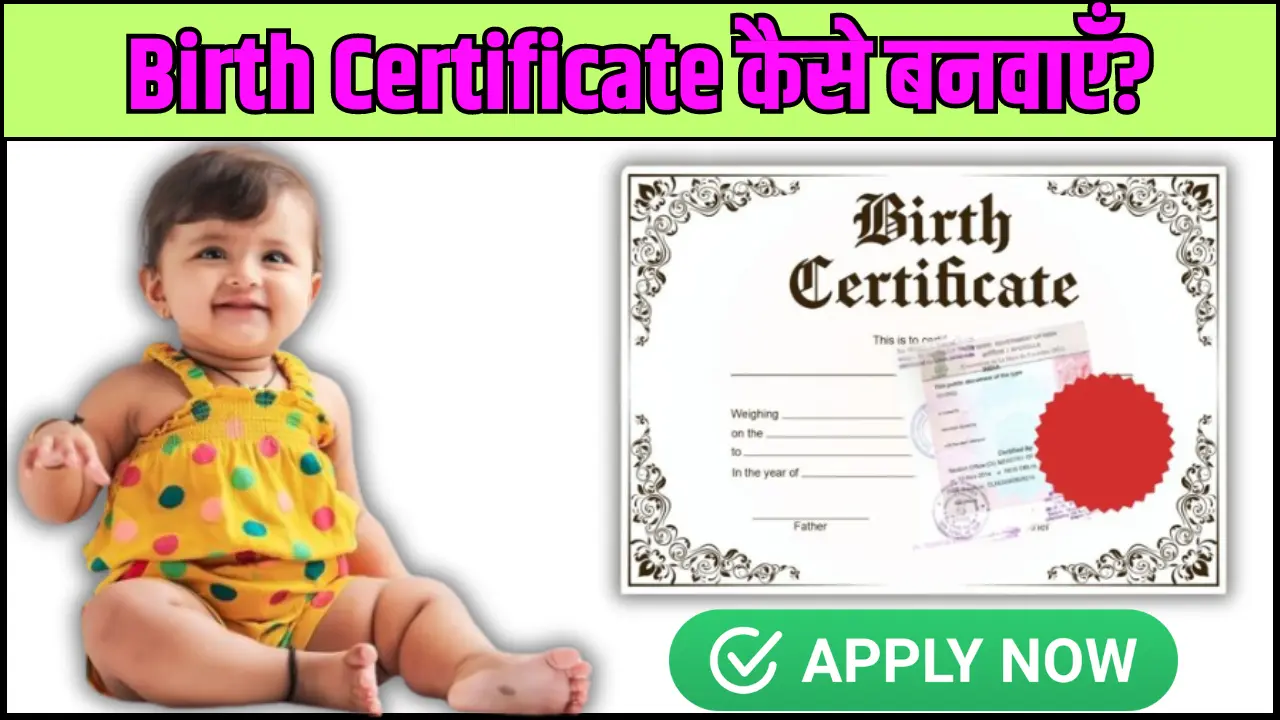 Birth Certificate Document And Process